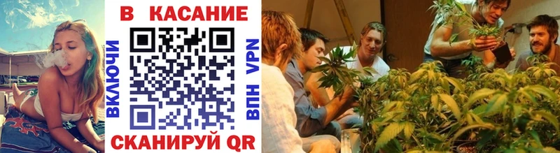 Виды наркотиков купить Плавск Экстази  Мефедрон  Гашиш  СК 