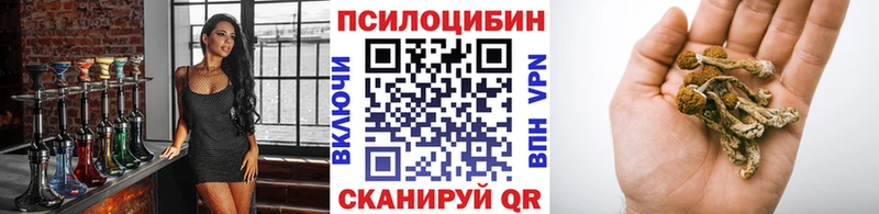 Псилоцибиновые грибы мицелий Плавск