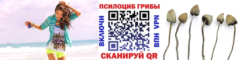 Галлюциногенные грибы прущие грибы OMG маркетплейс Плавск